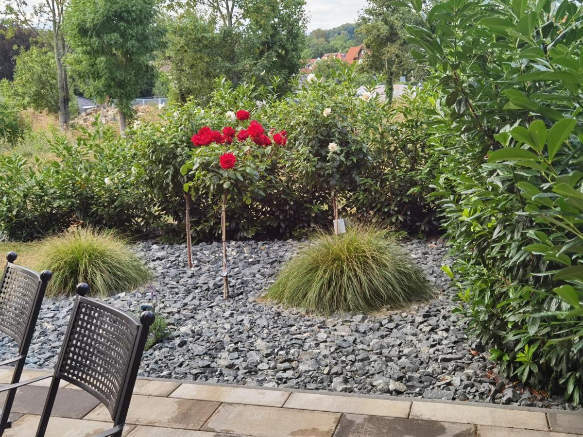 Feriendomizil Schlossblick Blankenburg  Eksteriør billede