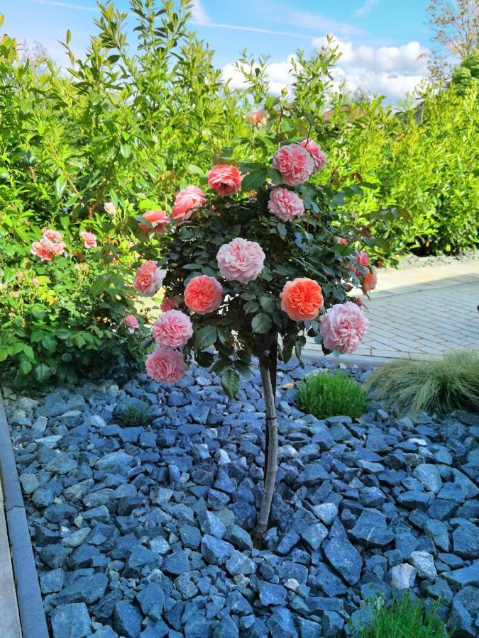 Feriendomizil Schlossblick Blankenburg  Eksteriør billede